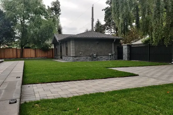 Backyard landscaping in Vancouver, British Columbia with freshly laid green grass and a concrete paver walkway leading across the yard to the parking pad and garage.